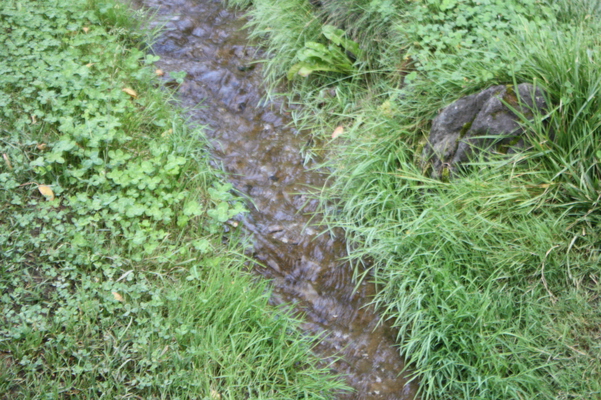 ������ѿ�/�����Ƥ������ǡ����١���