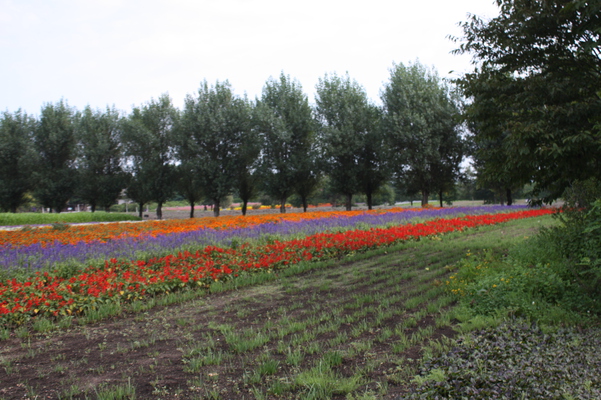 �ֱ������/�����Ƥ������ǡ����١���