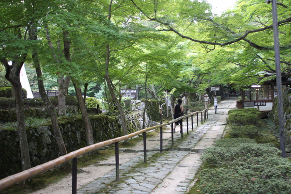 金剛輪寺の緑の参道