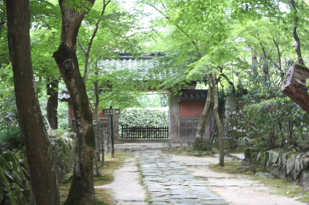 緑葉のモミジに包まれた金剛輪寺の門
