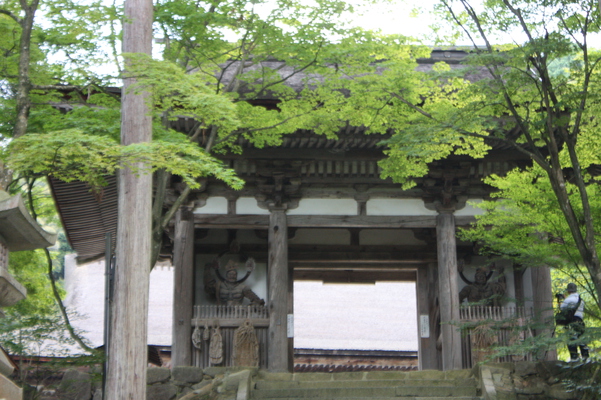 西明寺のモミジ緑葉と「二天門」