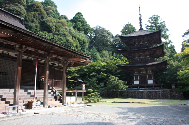 西明寺の本堂と三重塔