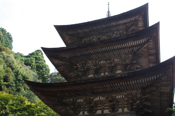 西明寺の三重塔と緑の森