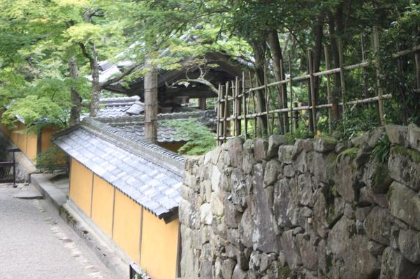 西明寺・本坊の築地塀と緑葉