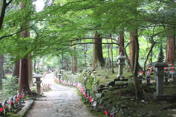 金剛輪寺の緑の参道に並ぶ「千体地蔵」