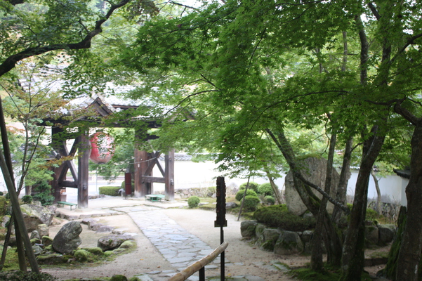 緑葉に囲まれた金剛輪寺の山門
