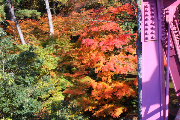 山中温泉「あやとり橋」と紅葉
