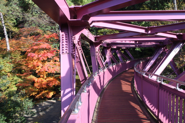 山中温泉「あやとり橋」と紅葉の鶴仙渓
