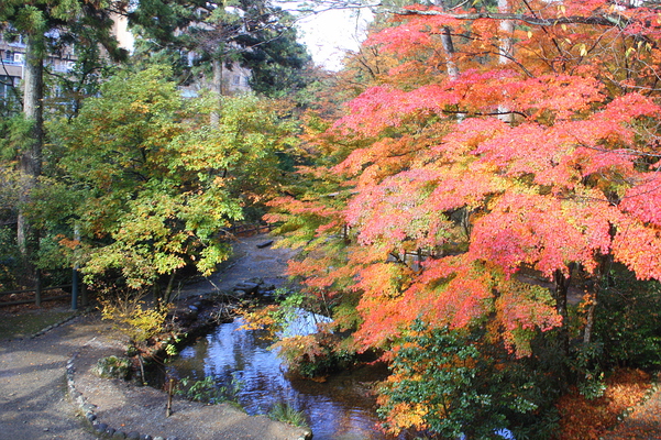 秋の鶴仙渓