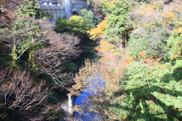 山中温泉「あやとり橋」から見た秋の鶴仙渓