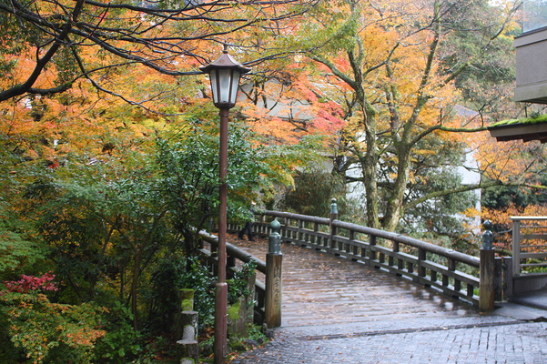 山中温泉「こおろぎ橋」の秋風情