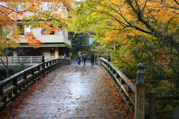 秋模様の山中温泉「こおろぎ橋」と鶴仙渓/癒し憩い画像データベース