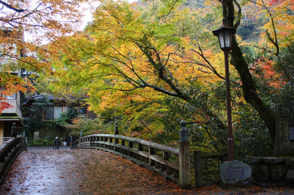 秋模様の山中温泉「こおろぎ橋」