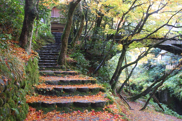秋の山中温泉・「こおろぎ橋」と下への階段