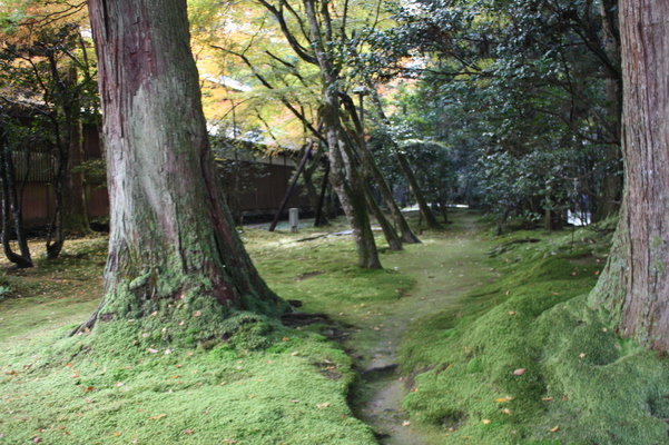越前・那谷寺の苔むす庭園