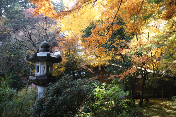 秋の那谷寺「裏庭園」