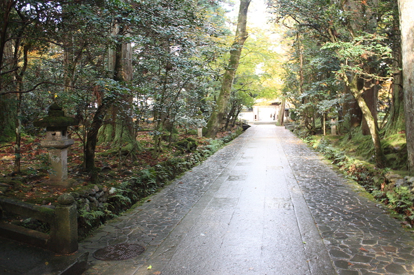雨に濡れた那谷寺の参道
