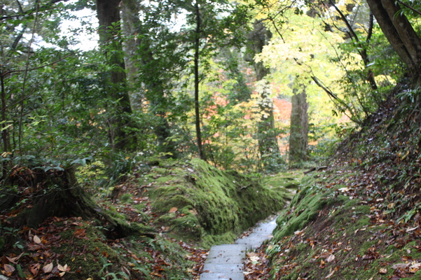 那谷寺の秋の小道