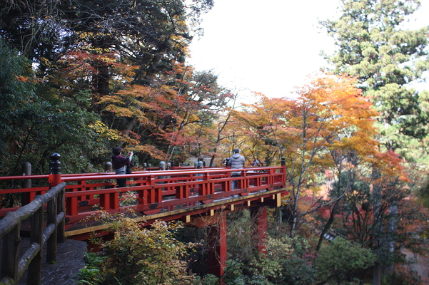 秋模様の中の「楓月橋」