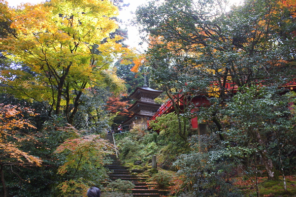 秋模様の中の「三重塔」と朱橋「楓月橋」