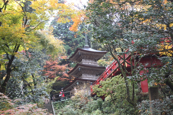 秋の那谷寺「三重塔」と「楓月橋」