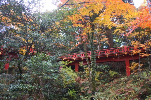 秋模様の中の朱橋「楓月橋」