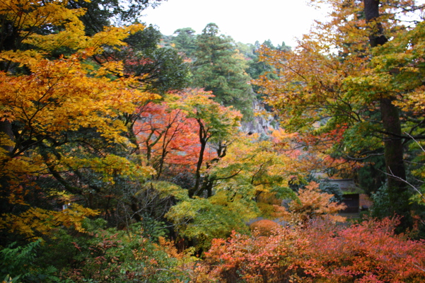 秋模様に飾られた那谷寺の森
