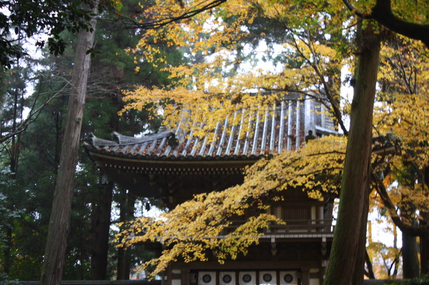 那谷寺の山門と黄葉