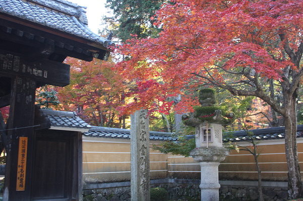 琵琶湖・湖東三山「金剛輪寺」の山門入口と紅葉
