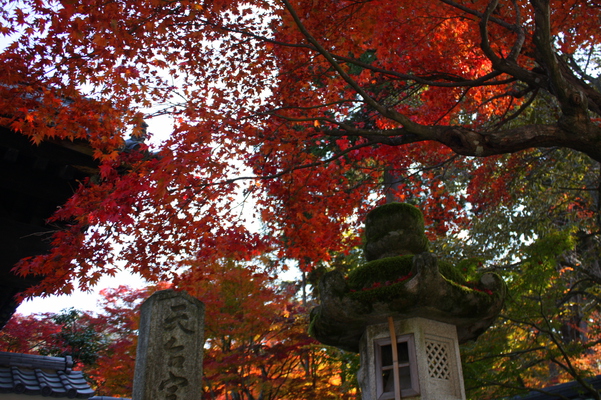 「金剛輪寺」の山門入口と紅葉