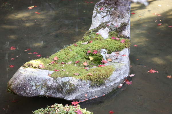 池泉回遊式庭園の岩の秋模様