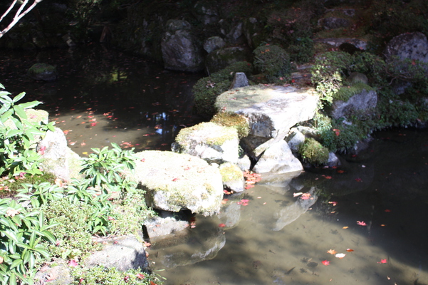 庭園の池と飛石