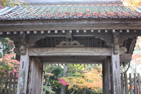 金剛輪寺・「明寿院」の門と秋風情
