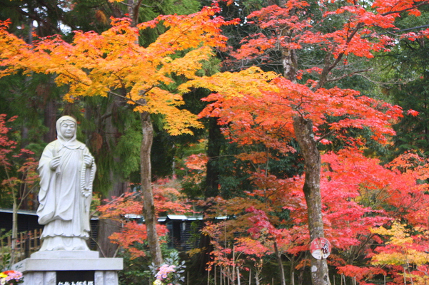 西明寺の石仏と森の紅葉