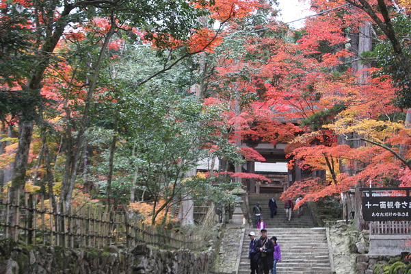 西明寺の二天門と参道の秋模様