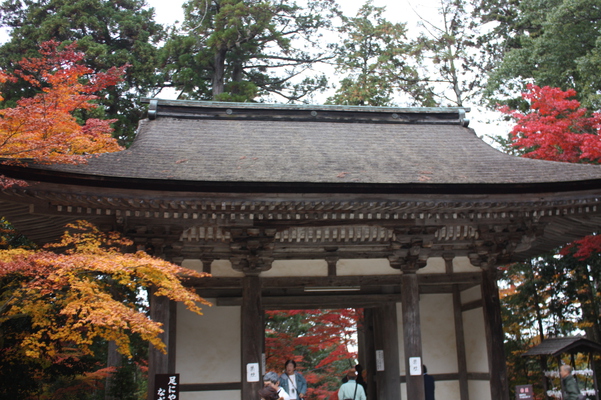 西明寺の二天門裏面と秋紅葉
