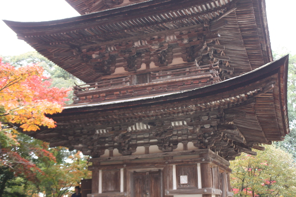 西明寺の三重塔と秋景