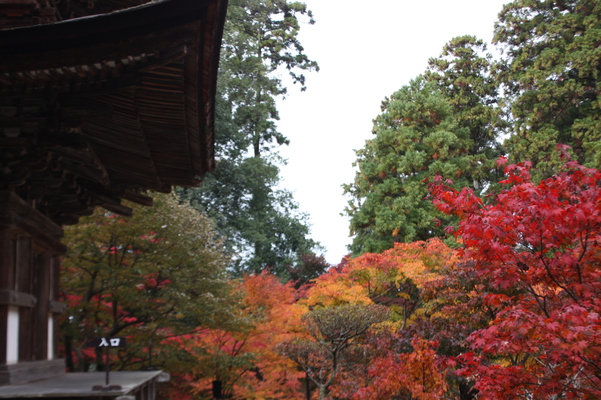 西明寺境内の秋模様