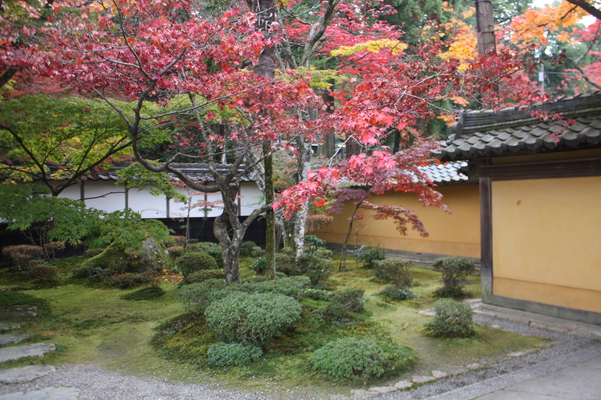 西明寺・本坊の庭