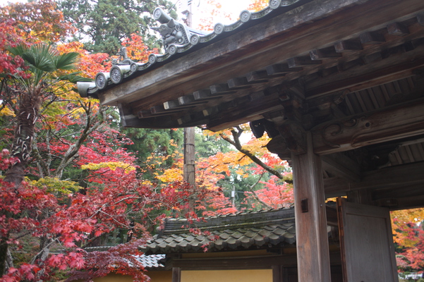 西明寺・本坊の門と紅葉