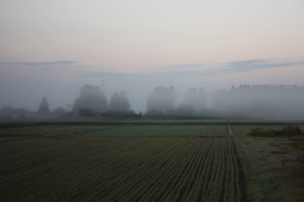朝霧にかすむ田園の夜明け