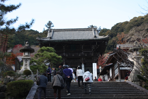 Ĺë���ֿβ���ؤ����ʡ�/�����Ƥ������ǡ����١���