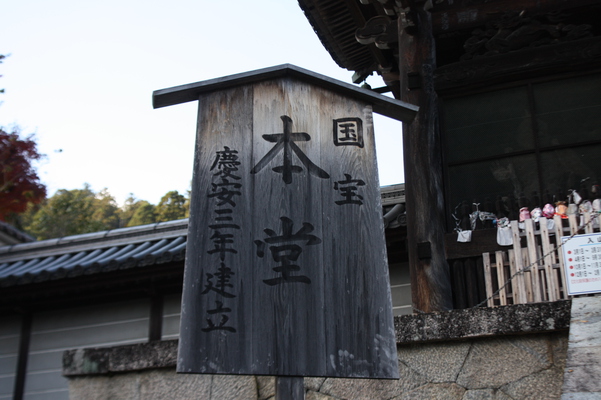 ���ɤ�Ĺë������Ʋ��ɸ����/�����Ƥ������ǡ����١���