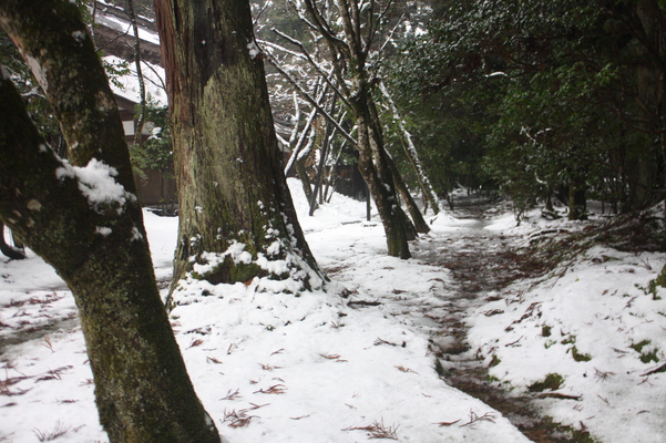 雪の越前・那谷寺庭園