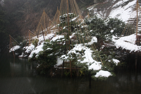 積雪の那谷寺の池と雪吊り/癒し憩い画像データベース