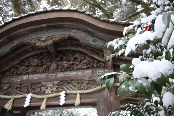 積雪の尾山神社「東神門」と雪椿