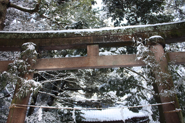 積雪の尾山神社内「金谷神社」鳥居