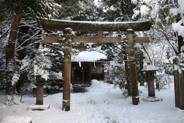積雪の尾山神社内の「金谷神社」鳥居