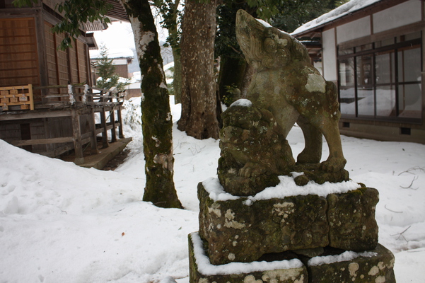 積雪の「三朝神社」狛犬