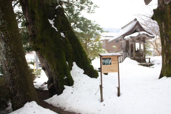 積雪の三朝温泉「三朝神社」の古木